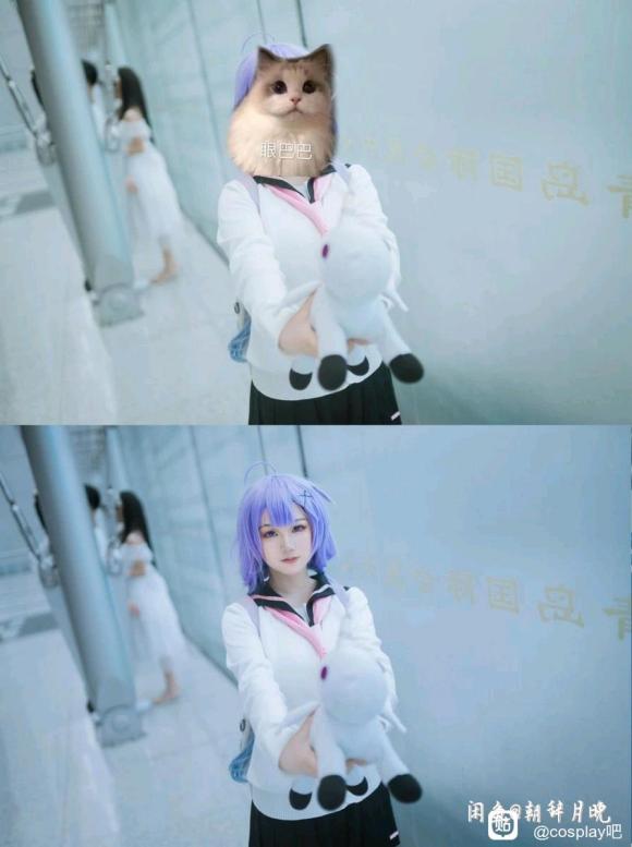 ��COS��Ƭ���ײ˺��ڽӵ�-7.jpg