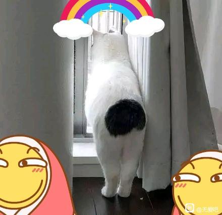 ��COS��Ƭ����û������������������趼�ܲ��������ַ��硣�ܶ�M...-4.jpg