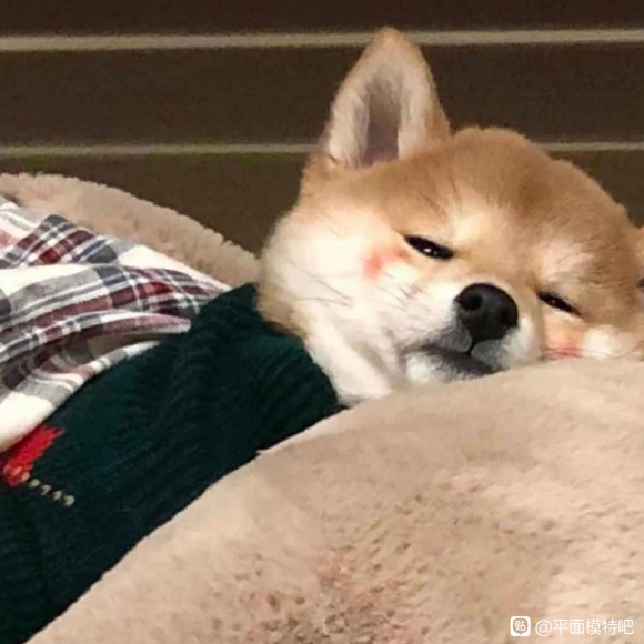 ���Һ�����ģ�������Ա�����Ҫ������ͼ��ģһ��-1.jpg