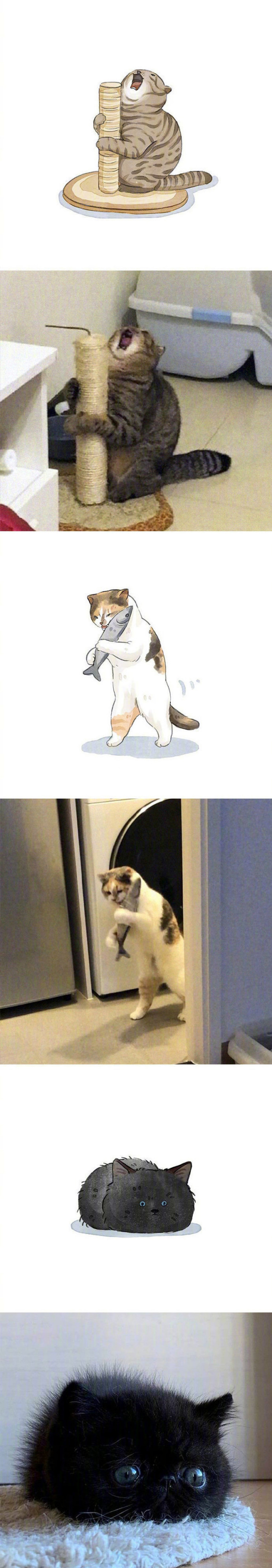 ����Ȥ��è��廭-2.jpg