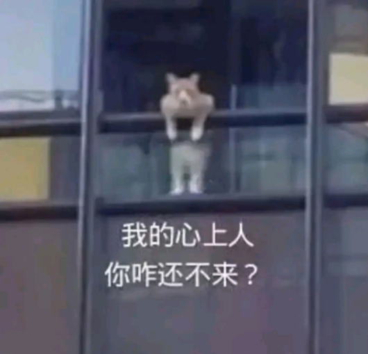 ������ֱ����jk ������ ����С�����-1.jpg