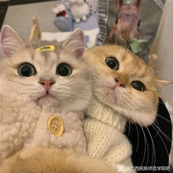 ����ѧУ�н��ĺ��������յ���?-1.jpg