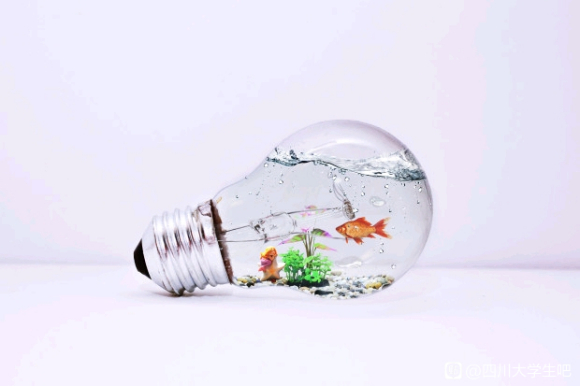 ��˭��ѧPs��ͼ,PR��������Ƶ����,AE,Ai,�廭,UI-1.jpg