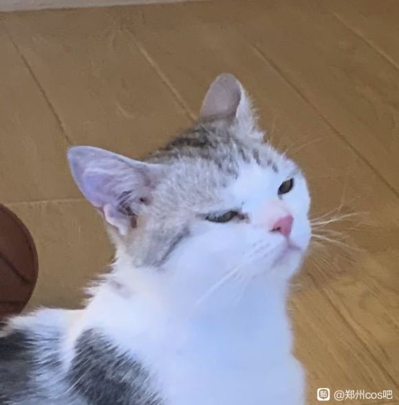 ����,7.10��cm��չ��ױ����,�ҳ���һ��-1.jpg