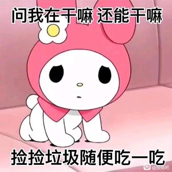 ���ɳ��ɻ�������/jk/ױƷ/����/�������-1.jpg