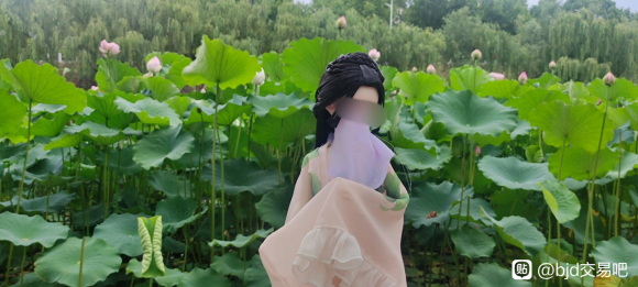 ��������200623��bjd�ķֺ��� 68r������-3.jpg