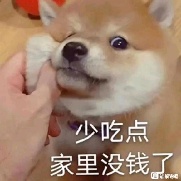 ���ɳ��ɻ�������/�ư�������/ԭ��С˵/��ױƷ/�ְ�-1.jpg