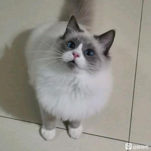 ���ɳ��ɻ����������/lo���/jk�Ʒ����-1.jpg