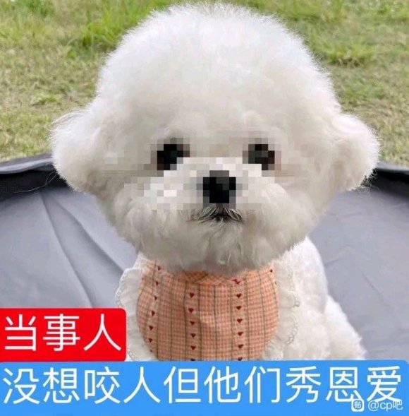 ���º����ÿ�,����ͷ��Ҳ�ÿ���-1.jpg