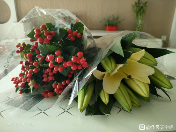׾�ӵĲ廭����,�д���ʦָ��-3.jpg
