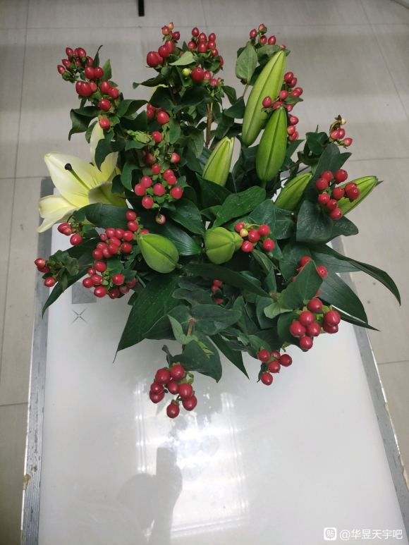 ׾�ӵĲ廭����,�д���ʦָ��-4.jpg