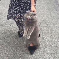 ��һ��ȥ��չ,�����·��-3.jpg