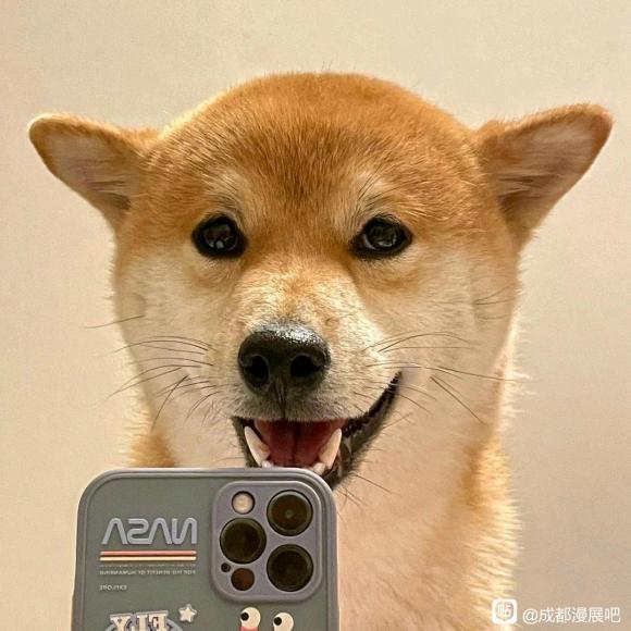 �ɶ���������չ���սӵ�(����)-1.jpg