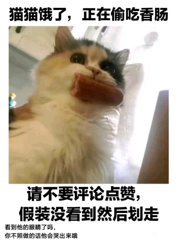 �����ؽ�������ɽ������������չ��?��·�ϼ�������СѾ����Ů��-1.jpg