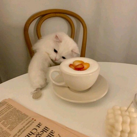 �����ޡ��ػ����� ���� ������ҫ-1.jpg