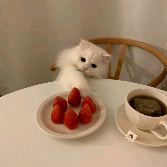 �����ޡ��ػ����� ���� ������ҫ-2.jpg