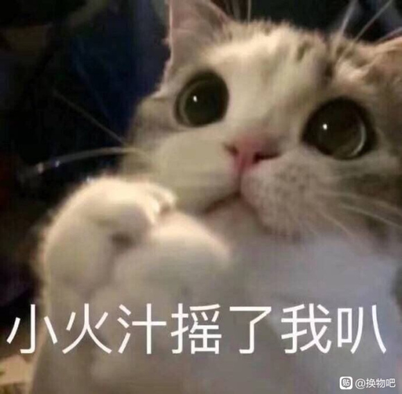 ���ɳ��ɻ���һ������ר��-1.jpg
