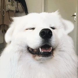���̵㡿�̵��������Щ��ħ�ġ�����-2.jpg