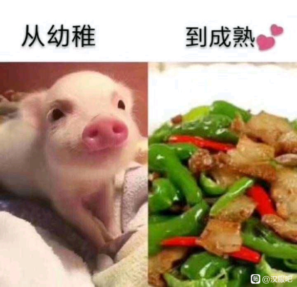 ��������:��Ҫ��֪��������Щ��������,�²���-1.jpg