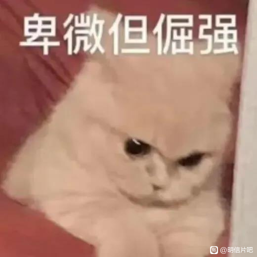 ��Ǻ�/�����������һЩƬ��Ҫ��è�ղ廭����һ������ȫ������-1.jpg
