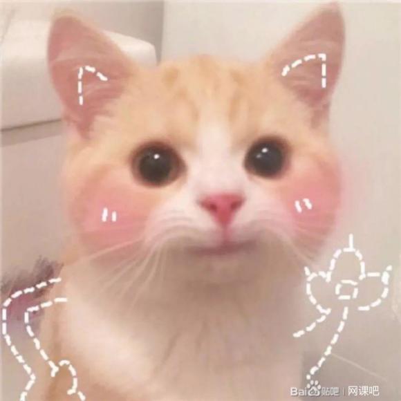 tiyeѼѼipad�廭��-1.jpg
