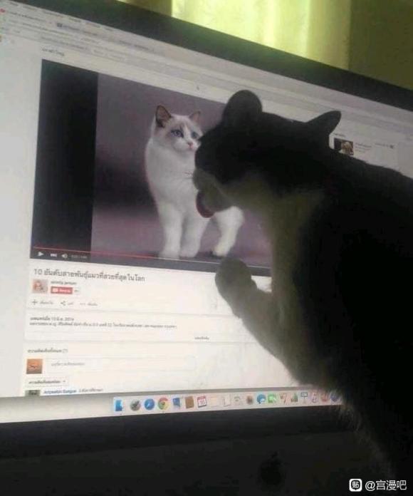 ÿ�ι�����չ����������-1.jpg