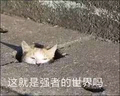 ����ȥcd25��չ,���ִ���������&amp;amp;#xF62D;&amp;amp;#xF62D;&amp;amp;#xF62D;-1.jpg