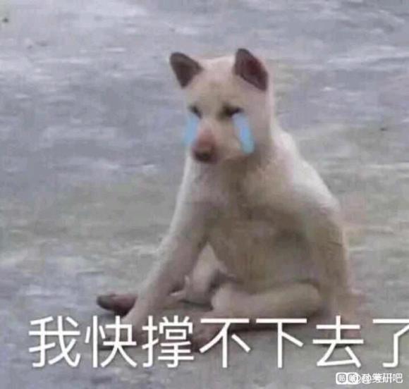 �������&amp;amp;#xF474;����μӵ���չ?-4.jpg