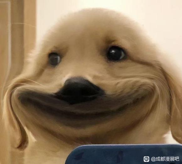 ���ʴ�Ҷ���ʲô����֪����չʱ�����ڵ� ?-1.jpg
