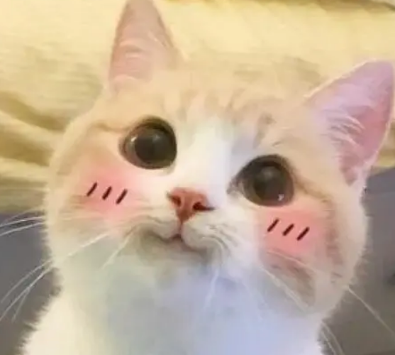 �߻�ʲôʱ�������ɺ���ѽ-1.jpg