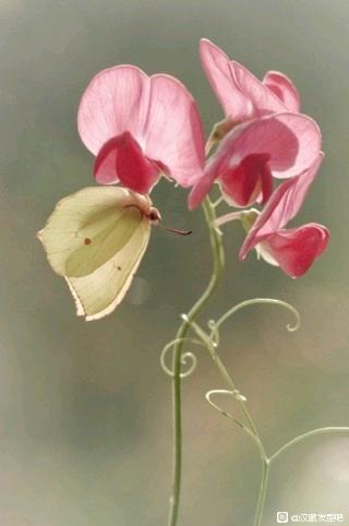 ������ױ�컥�⡿-1.jpg