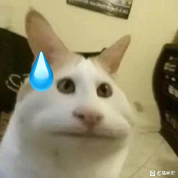 ������ �廭��ʲô����-1.jpg
