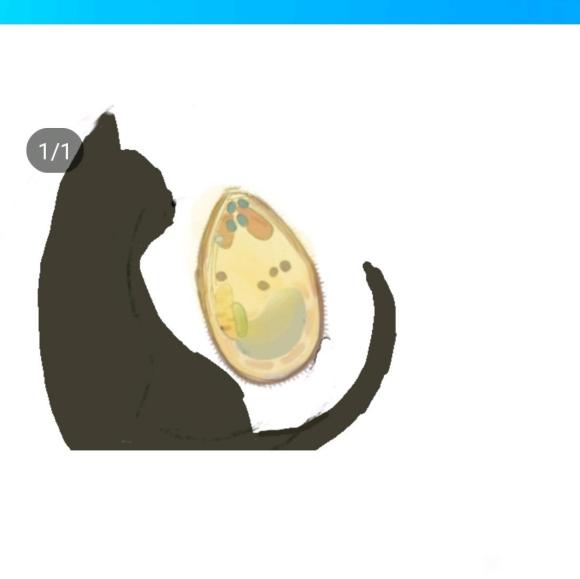 ��lo,��ǰ�İײ˺����Ŀ���-1.jpg