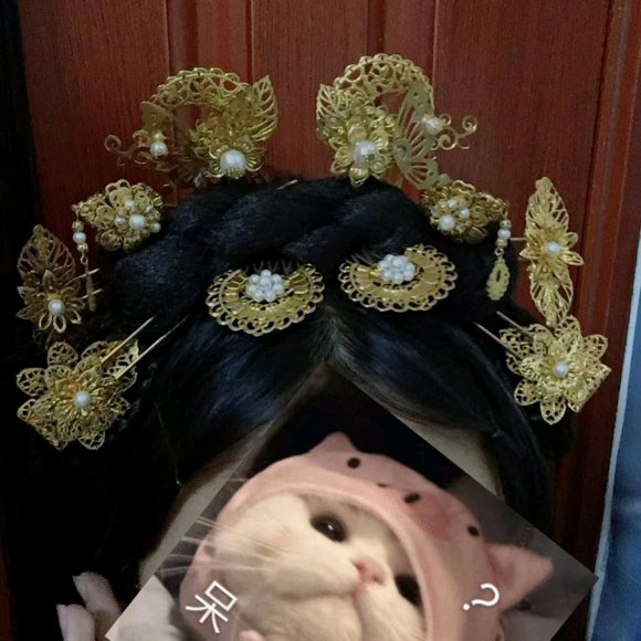 ���ɳ��ɻ����������׺�������-1.jpg