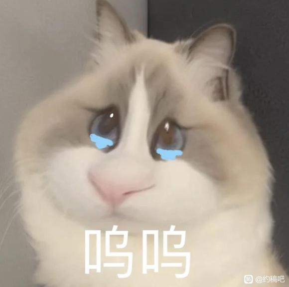 ���׻�ʦ���廭��ͷ����˫��-1.jpg
