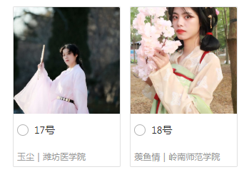 ����������-ͶƱ��ѡ ,����ϲ����ѡͬѧͶƱ�ɨs�n�t-1.jpg