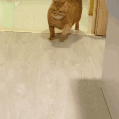 �����һ�㺺���������!-6.jpg