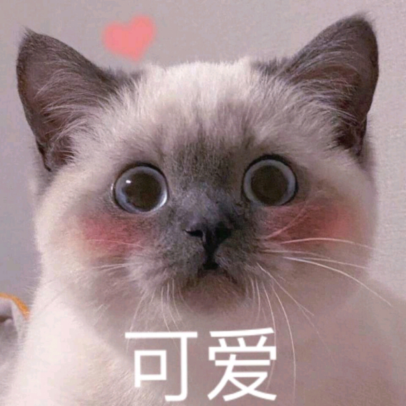 ��ǧԪ�����ع���������-1.jpg