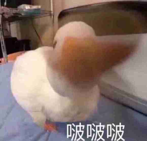 ��������񴩵ĺ���-2.jpg