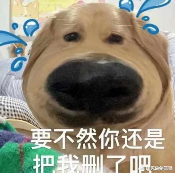�н��ð���һ���ʺϴ��ĵĺ�����-1.jpg