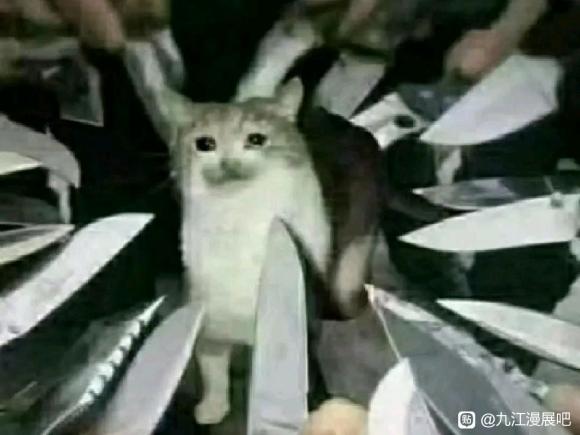 �Ž����������չ��?-1.jpg