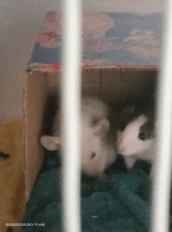 ���λ���ð���תһ����չ������,���������ø�����,һ�����Ʒ�-1.jpg