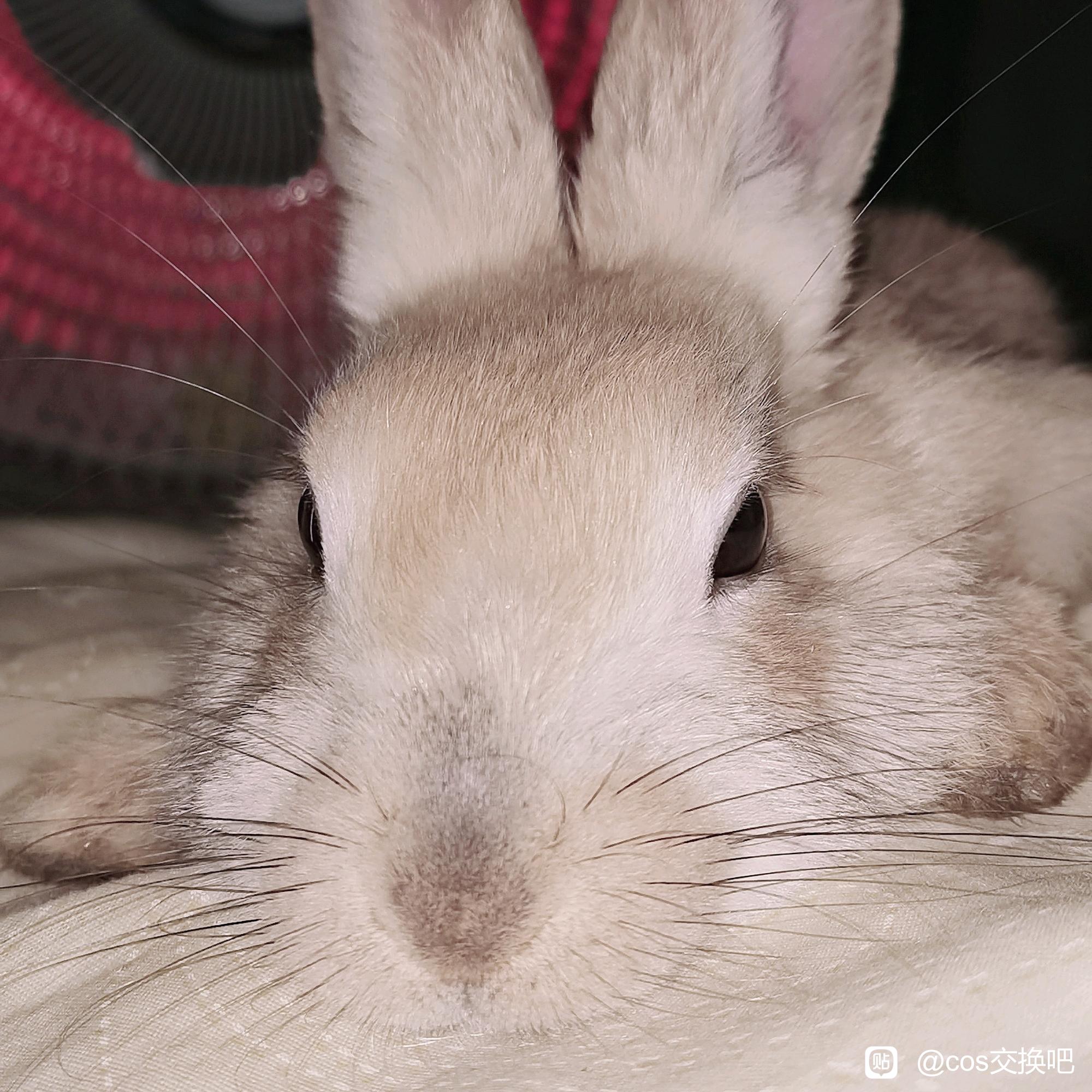 ������,�������Ӱ�,�뻻���캺�������ǵ���,Բ����Ҳ���Ե�!-1.jpg