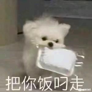 ���ɳ��ɻ�����������ר����~-1.jpg