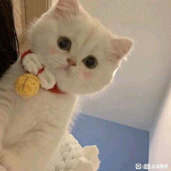 ������1.5m�ܴ�ʲô���ĺ������Լ�Ԧ,���Ƽ���-1.jpg