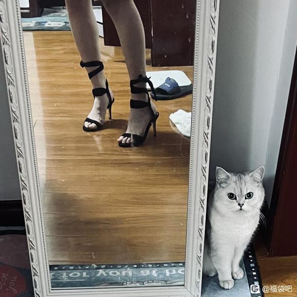 ��������ñ��Ь�����޺���ר��-2.jpg