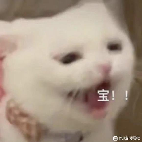 ��Ӱ�ӵ�������չ��-1.jpg