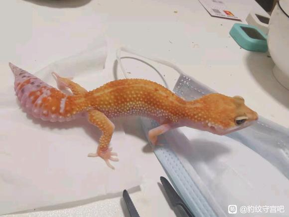 һλ���Ѷ��Ƶ�ͷ��廭��-2.jpg