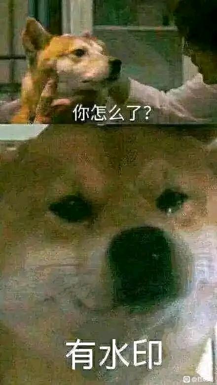 �����pվ��������õ�һ���廭��-1.jpg
