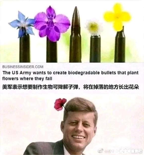 ���Գ�������������Ȳ廭��ɫ-1.jpg